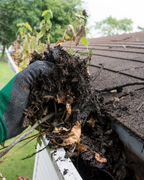 Gutter declutter