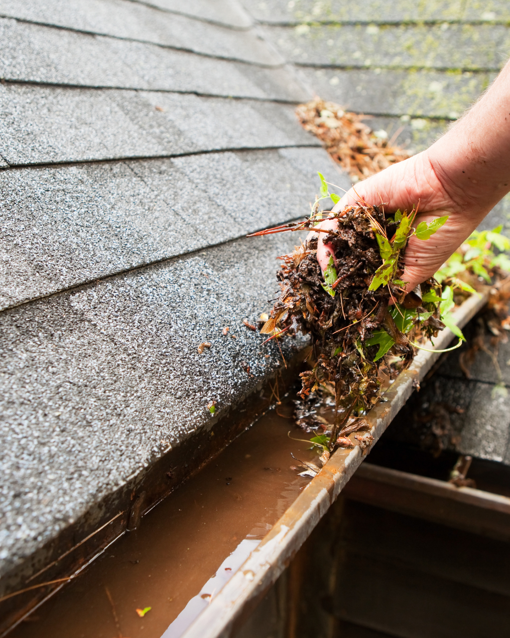 Gutter declutter