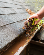 Gutter declutter